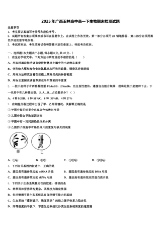 2025年广西玉林高中高一下生物期末检测试题含解析