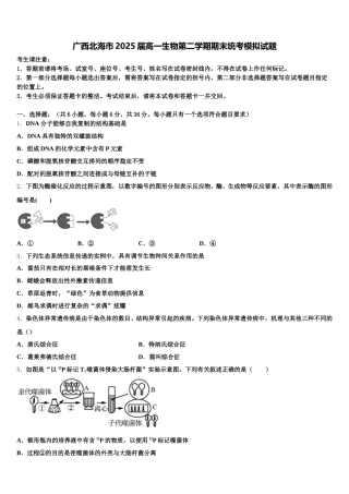 广西北海市2025届高一生物第二学期期末统考模拟试题含解析