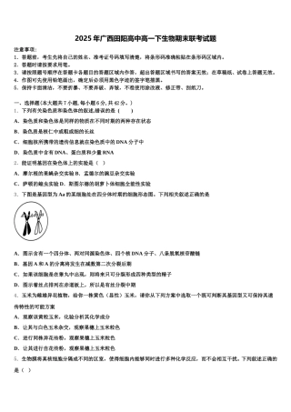 2025年广西田阳高中高一下生物期末联考试题含解析