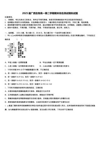 2025届广西生物高一第二学期期末综合测试模拟试题含解析
