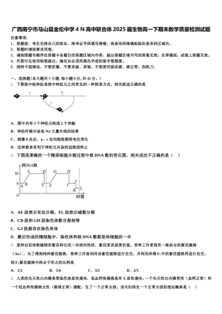 广西南宁市马山县金伦中学4 N高中联合体2025届生物高一下期末教学质量检测试题含解析