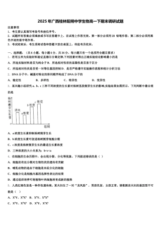 2025年广西桂林阳朔中学生物高一下期末调研试题含解析
