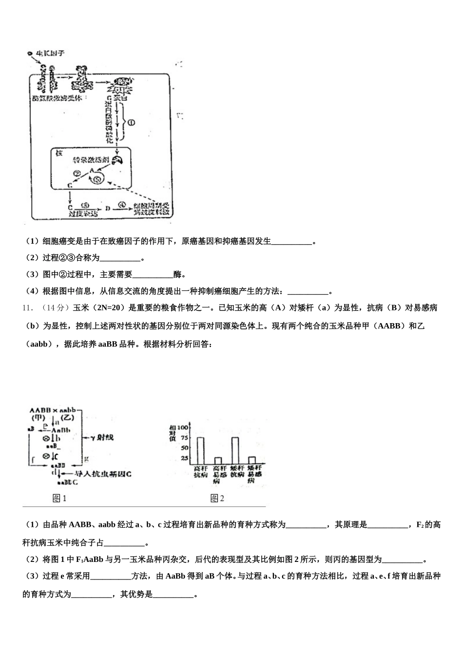 2024-2025学年广西柳州市柳州高中生物高一第二学期期末考试模拟试题含解析_第3页