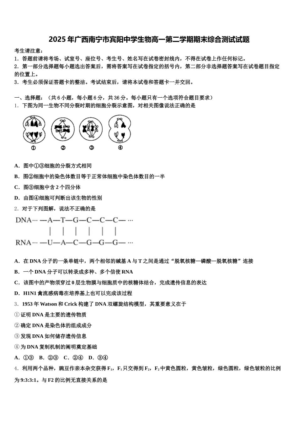 2025年广西南宁市宾阳中学生物高一第二学期期末综合测试试题含解析_第1页