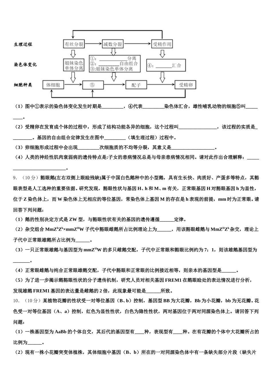 2025年广西南宁市宾阳中学生物高一第二学期期末综合测试试题含解析_第3页