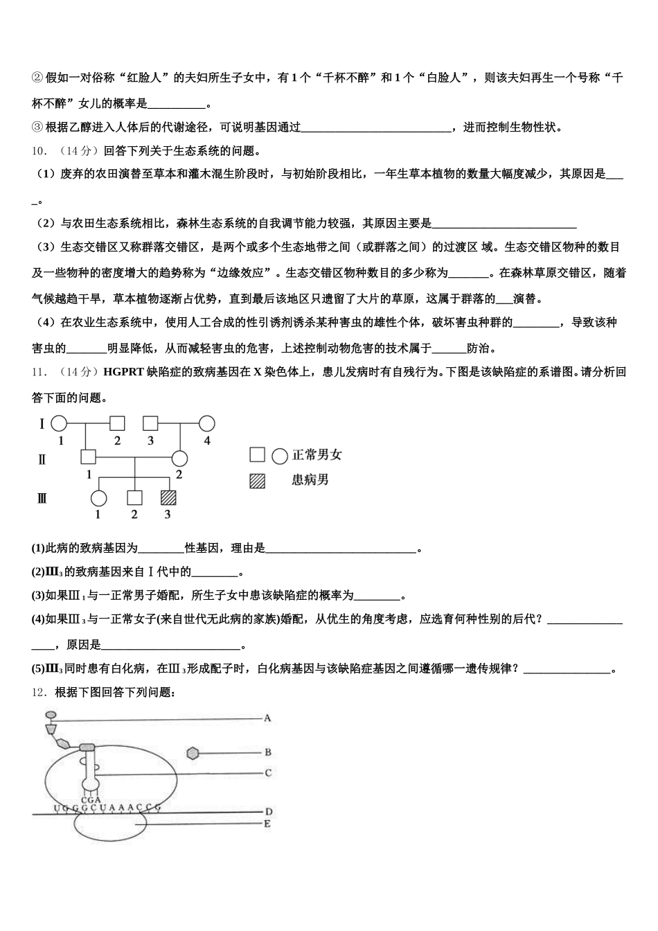 2025届柳州铁路第一中学高一生物第二学期期末调研模拟试题含解析_第3页