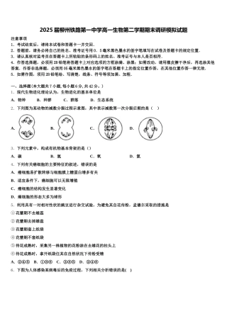 2025届柳州铁路第一中学高一生物第二学期期末调研模拟试题含解析