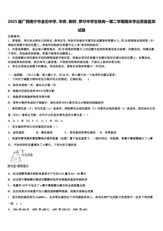 2025届广西南宁市金伦中学、华侨、新桥、罗圩中学生物高一第二学期期末学业质量监测试题含解析