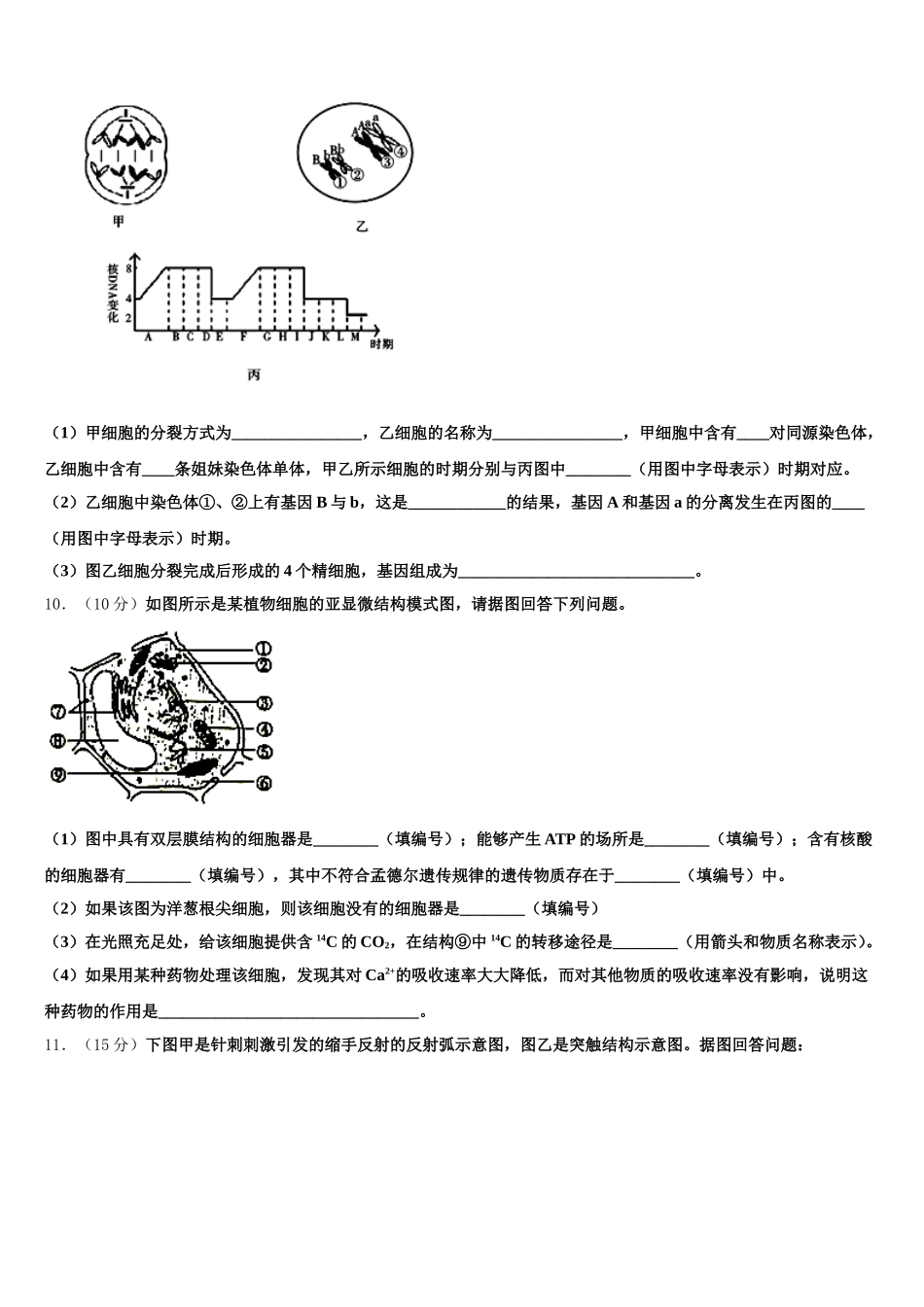2025年广西南宁市马山县金伦中学4 N高中联合体高一下生物期末教学质量检测试题含解析_第3页