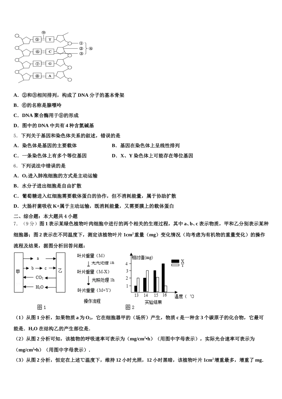 南宁市第四十七中学2025年高一下生物期末达标检测模拟试题含解析_第2页
