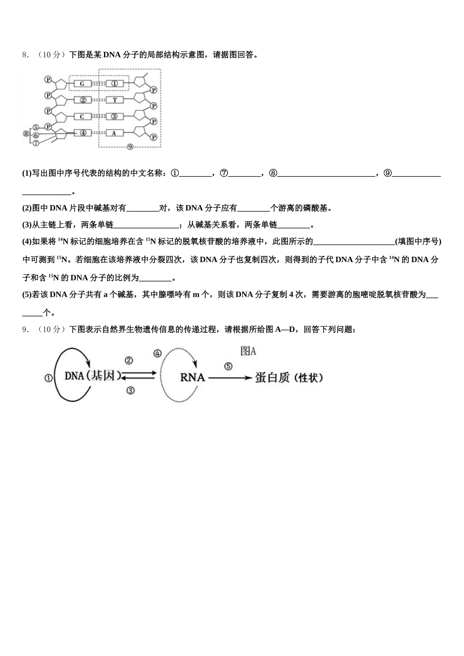 南宁市第四十七中学2025年高一下生物期末达标检测模拟试题含解析_第3页