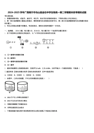 2024-2025学年广西南宁市马山县金伦中学生物高一第二学期期末统考模拟试题含解析