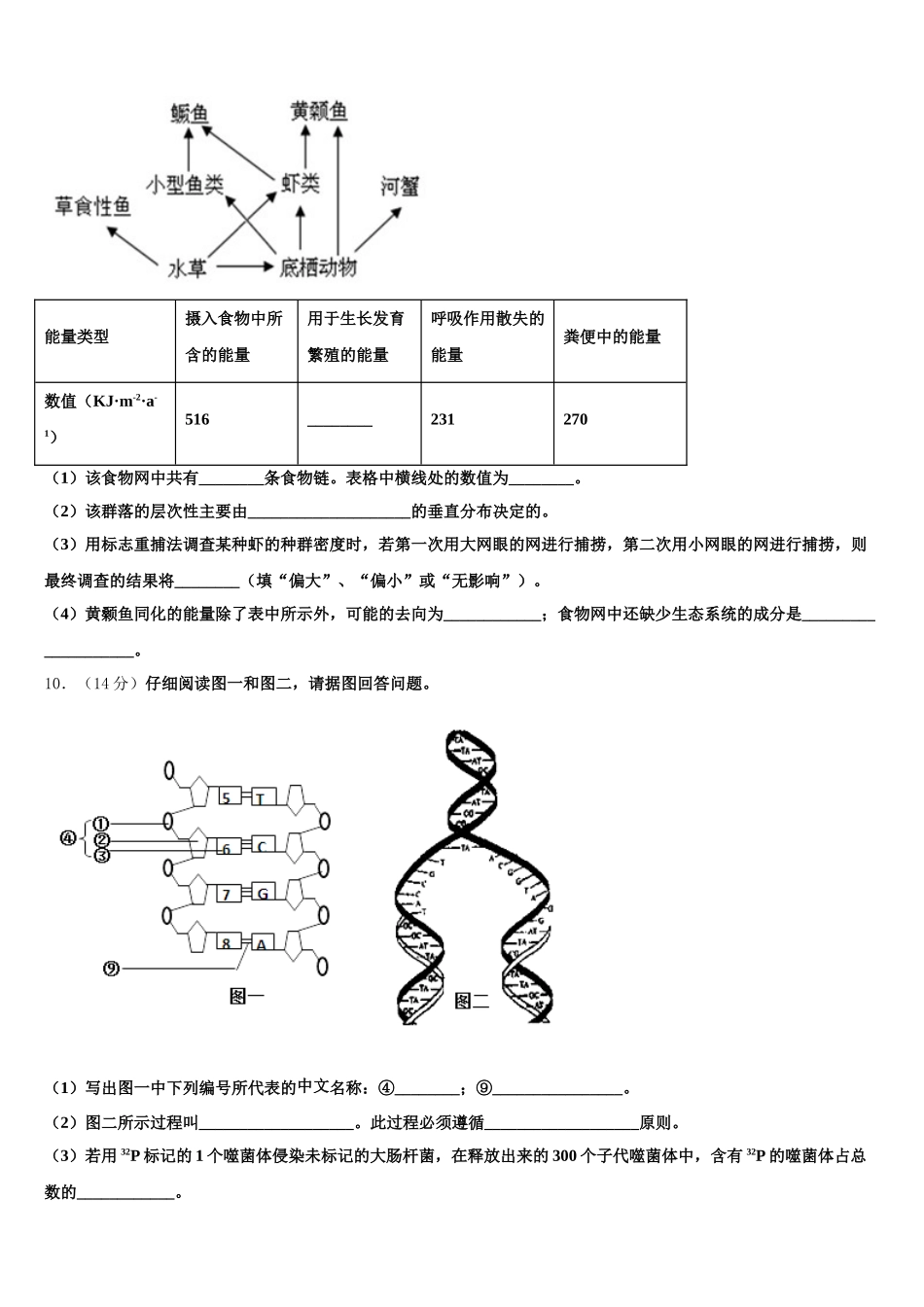 2024-2025学年广西北海市合浦县高一下生物期末考试试题含解析_第3页