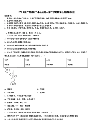 2025届广西柳州二中生物高一第二学期期末检测模拟试题含解析
