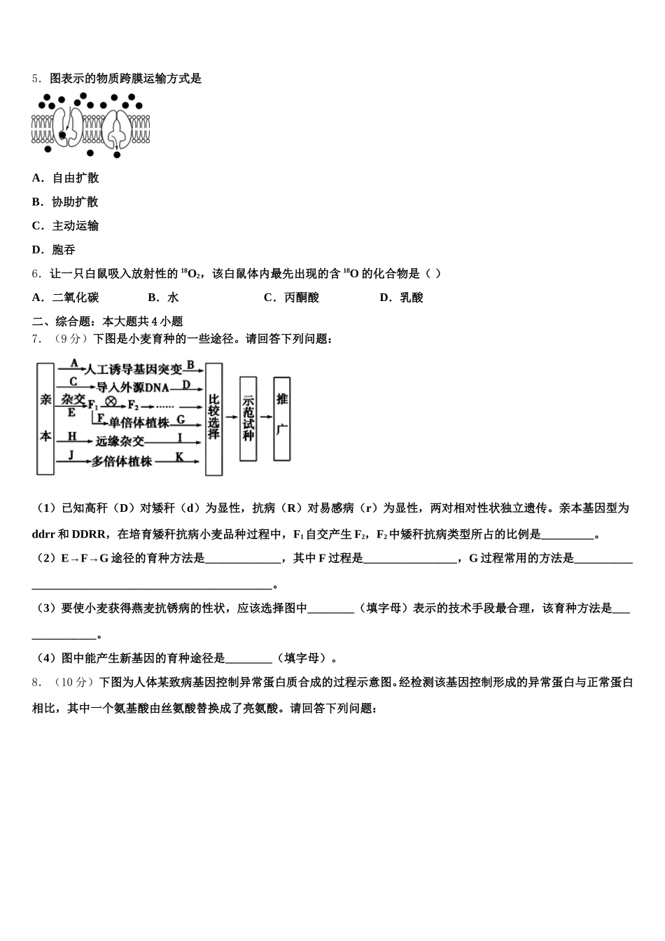 广西陆川县中学2024-2025学年高一生物第二学期期末教学质量检测试题含解析_第2页