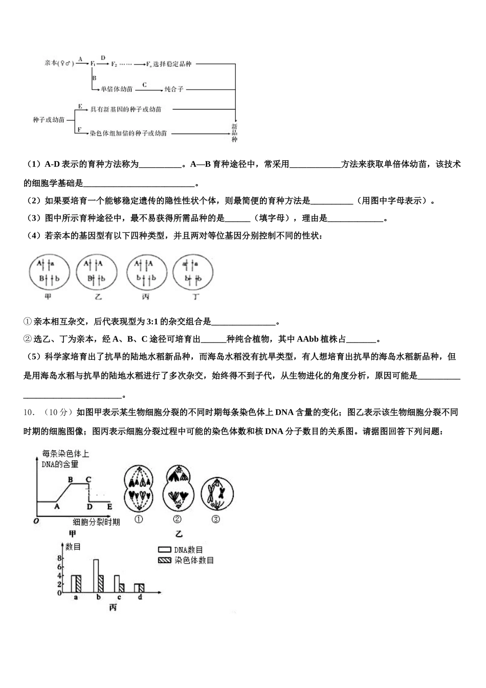 2025届广西钦州市浦北县浦北中学高一下生物期末质量跟踪监视模拟试题含解析_第3页