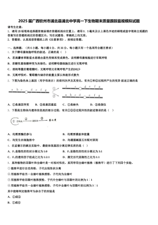 2025届广西钦州市浦北县浦北中学高一下生物期末质量跟踪监视模拟试题含解析