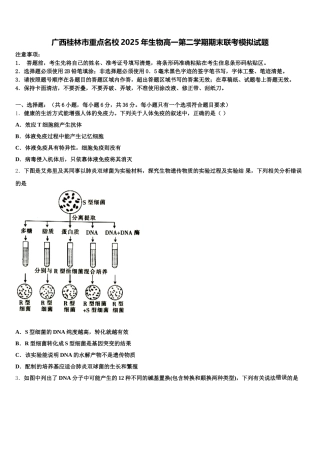 广西桂林市重点名校2025年生物高一第二学期期末联考模拟试题含解析