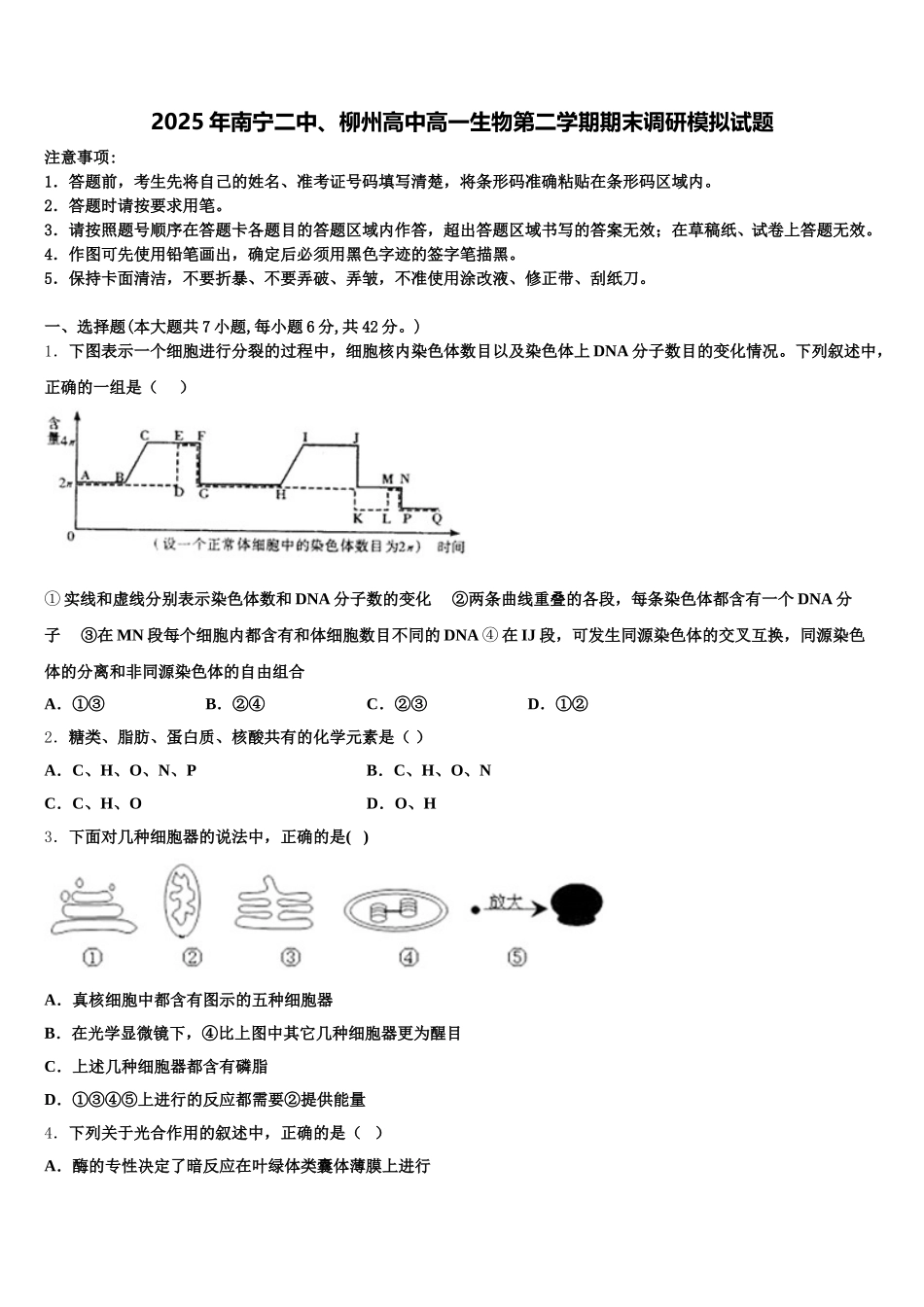 2025年南宁二中、柳州高中高一生物第二学期期末调研模拟试题含解析_第1页