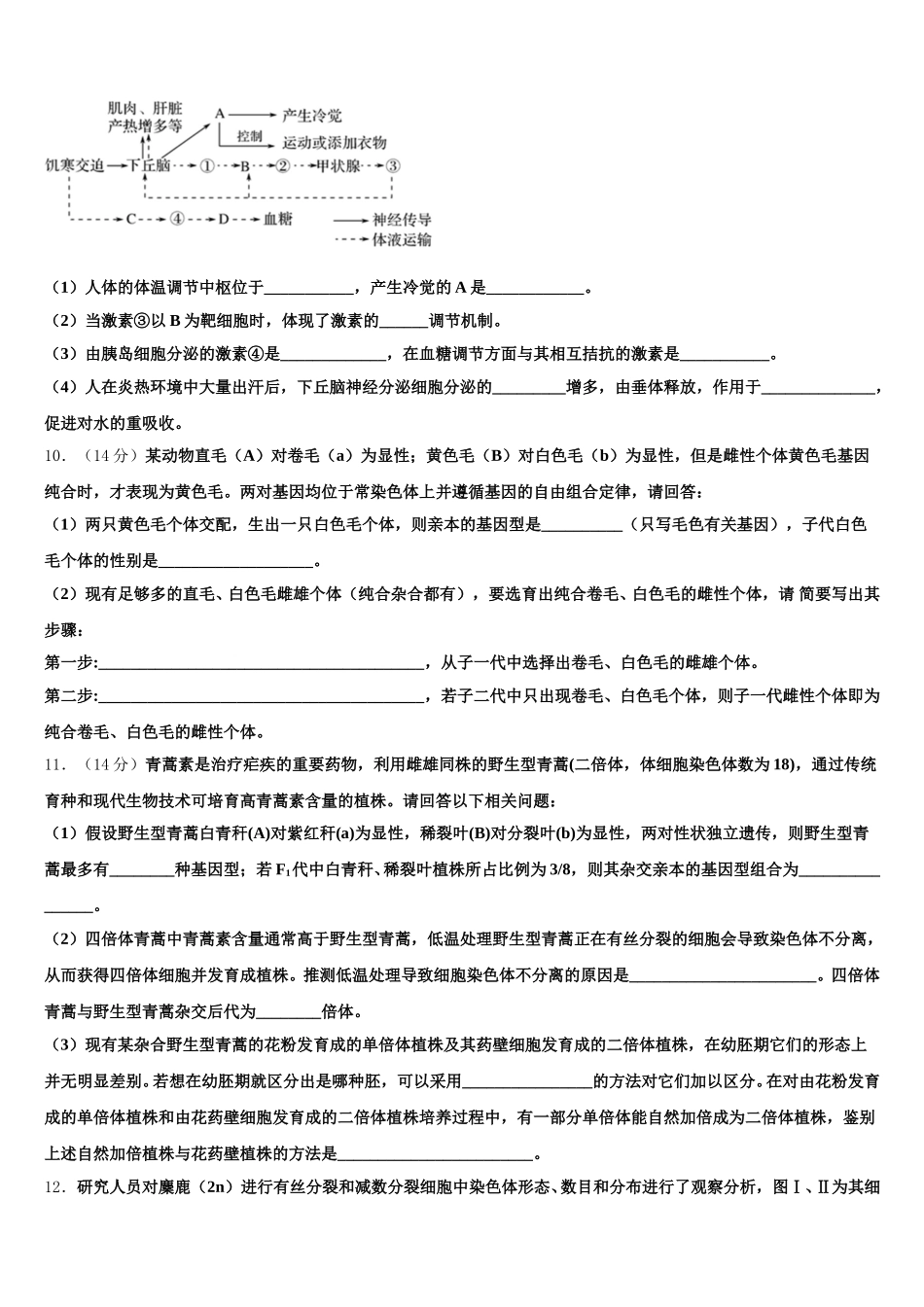 2025年广西北流市实验中学生物高一下期末经典模拟试题含解析_第3页