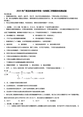2025年广西玉林高级中学高一生物第二学期期末经典试题含解析