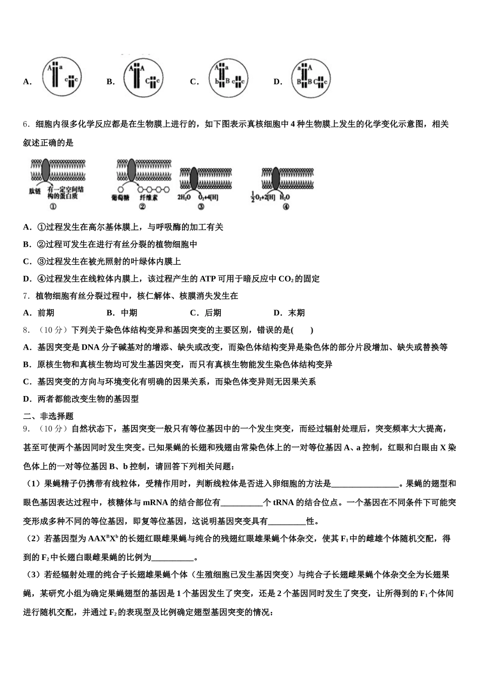 2025年广西壮族自治区百色市田阳县田阳高中高一生物第二学期期末达标测试试题含解析_第2页