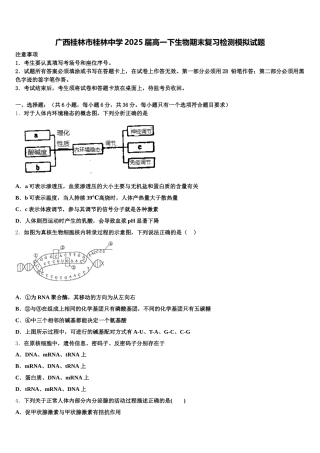 广西桂林市桂林中学2025届高一下生物期末复习检测模拟试题含解析