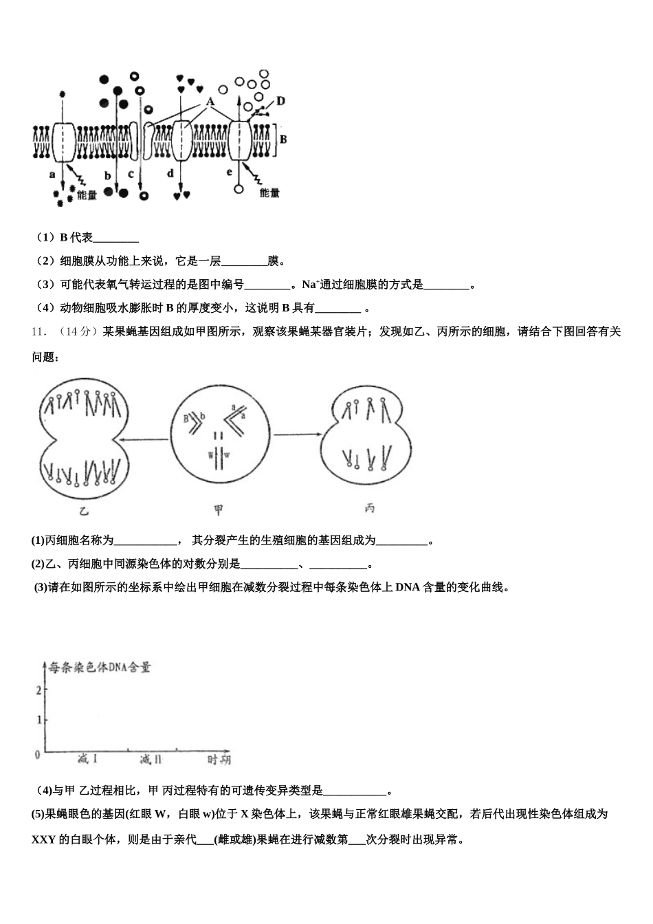 2024-2025学年广西省南宁市第二中学高一生物第二学期期末综合测试模拟试题含解析_第3页