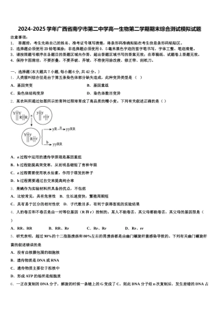 2024-2025学年广西省南宁市第二中学高一生物第二学期期末综合测试模拟试题含解析