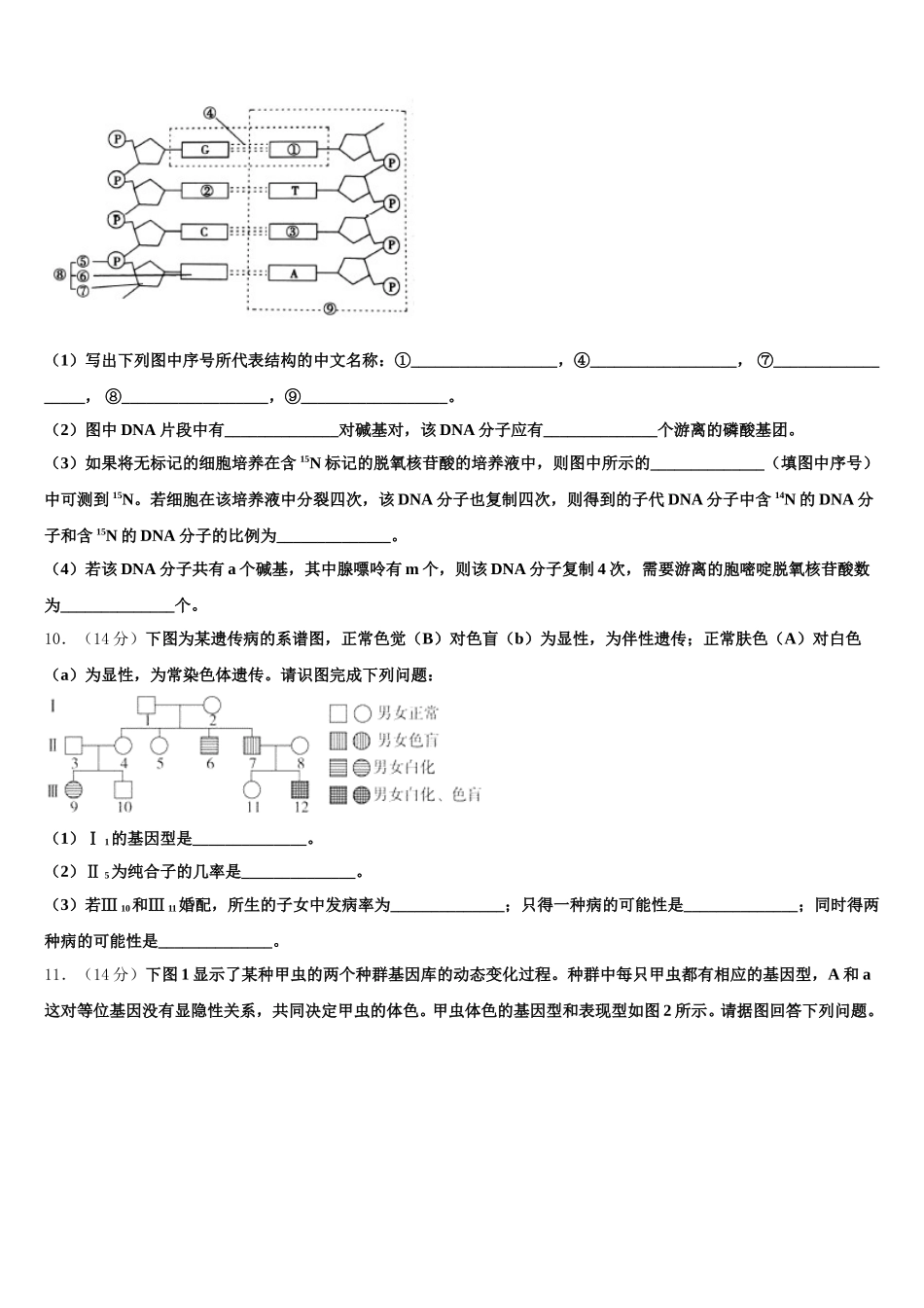 2025年广西南宁市三中生物高一第二学期期末达标检测模拟试题含解析_第3页