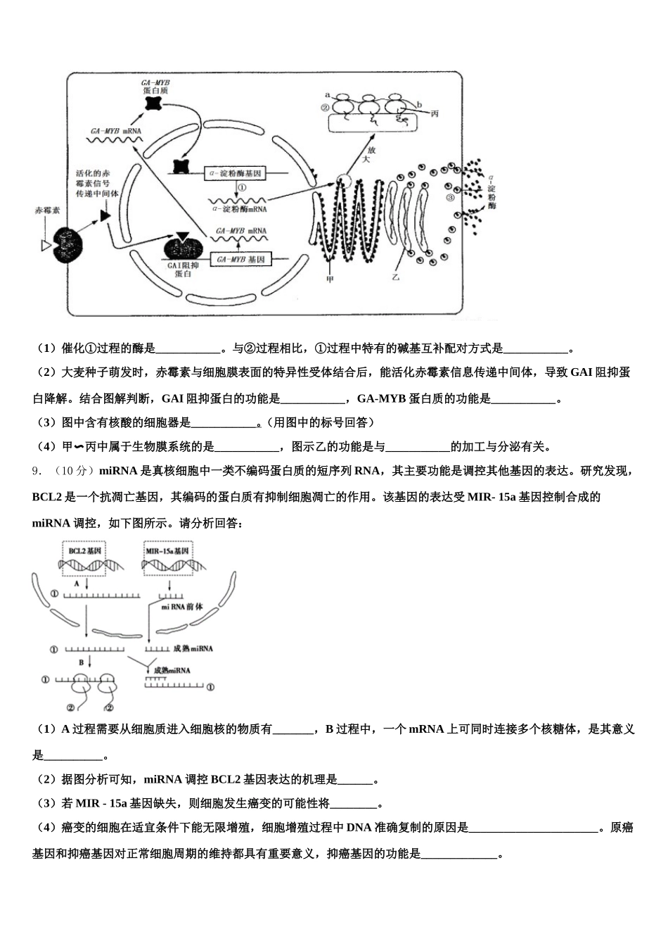 广西壮族自治区百色市广西田阳高中2025届高一生物第二学期期末监测模拟试题含解析_第3页