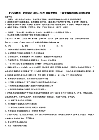 广西桂林市、防城港市2024-2025学年生物高一下期末教学质量检测模拟试题含解析