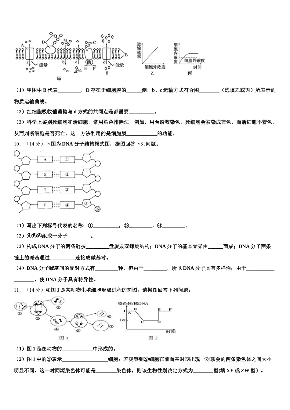 广西南宁市三中2025届生物高一下期末综合测试试题含解析_第3页