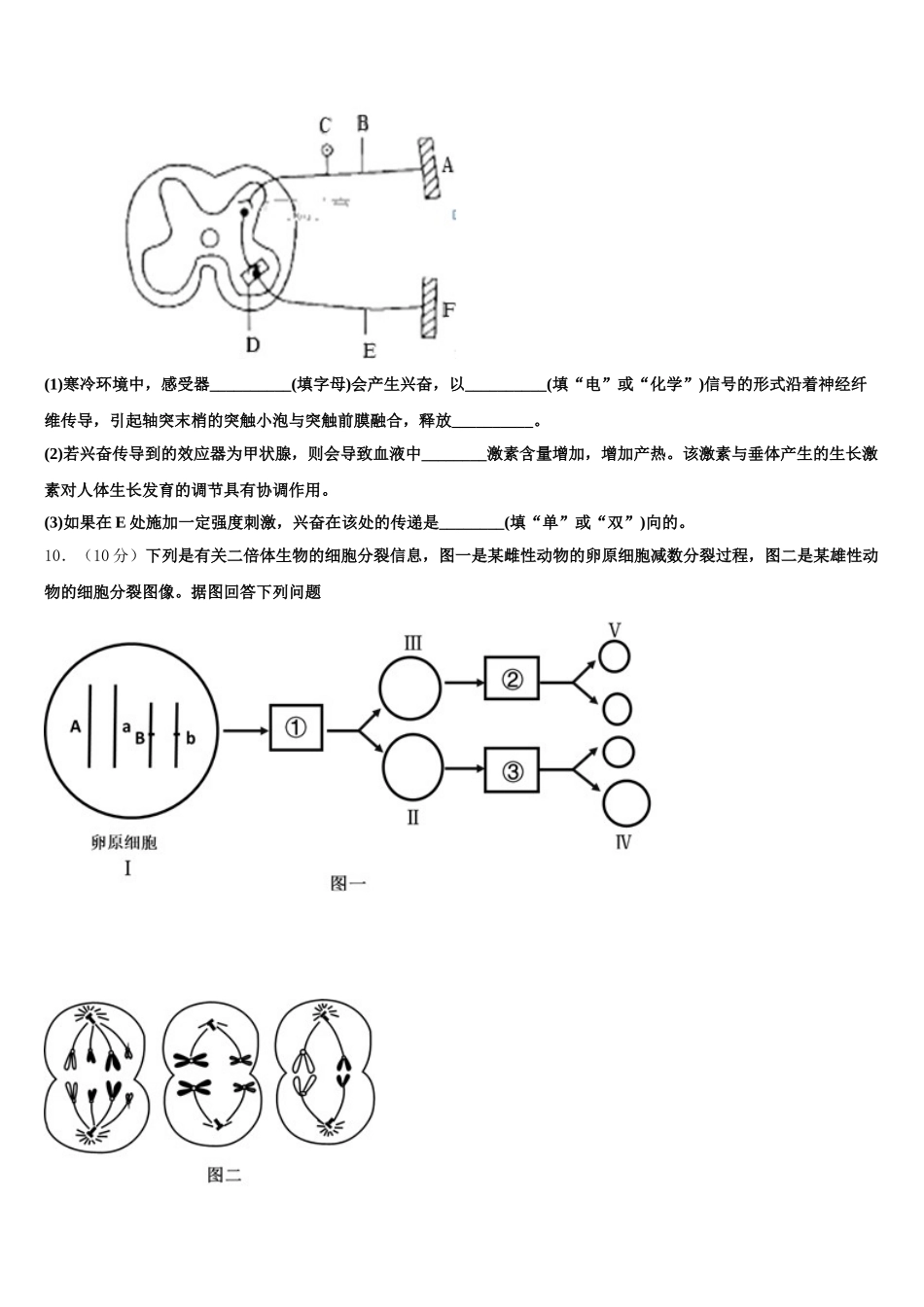 2024-2025学年柳州铁路第一中学生物高一第二学期期末综合测试模拟试题含解析_第3页