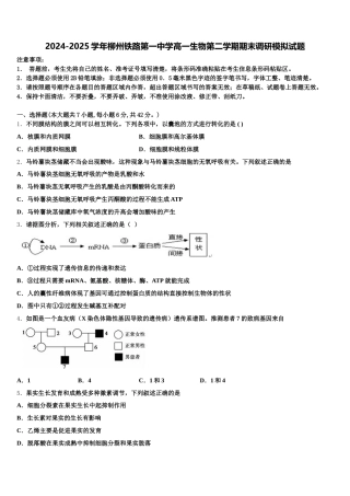 2024-2025学年柳州铁路第一中学高一生物第二学期期末调研模拟试题含解析