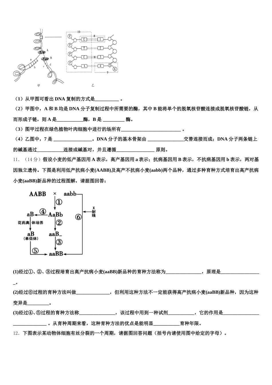 2025年广西玉林市北流实验中学高一生物第二学期期末综合测试模拟试题含解析_第3页