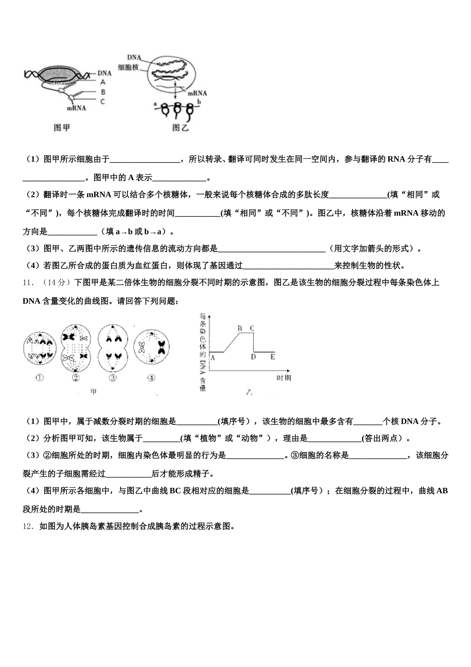 广西壮族自治区百色市广西田阳高中2024-2025学年高一生物第二学期期末学业质量监测试题含解析_第3页