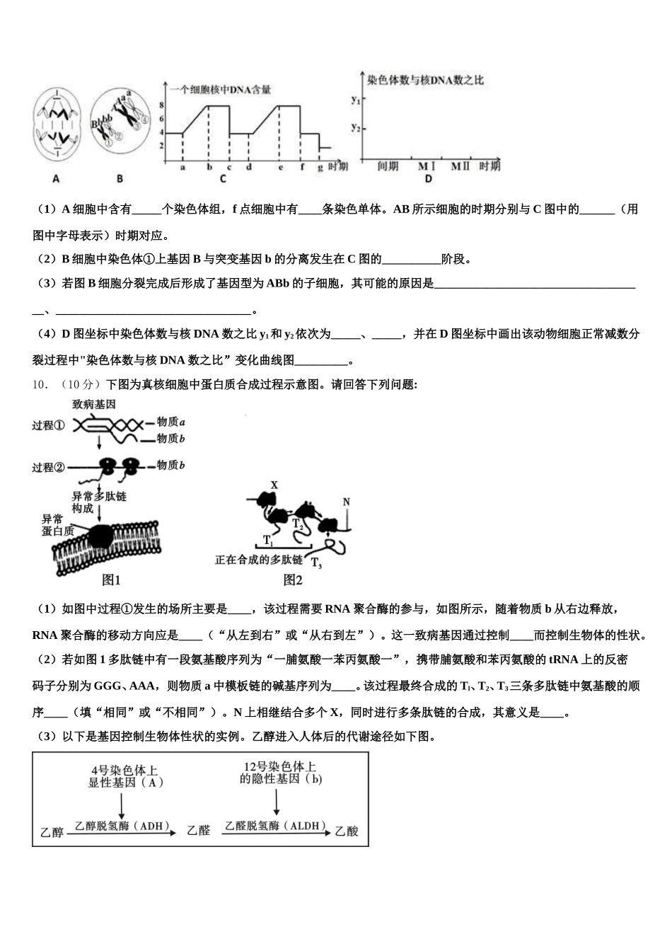 广西北海市合浦县2024-2025学年高一生物第二学期期末质量跟踪监视试题含解析_第3页