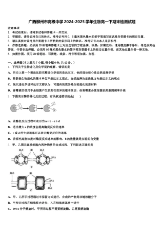广西柳州市高级中学2024-2025学年生物高一下期末检测试题含解析