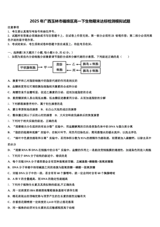 2025年广西玉林市福绵区高一下生物期末达标检测模拟试题含解析