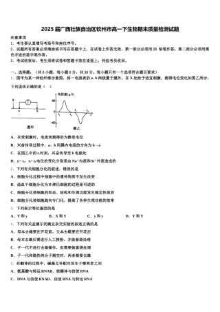 2025届广西壮族自治区钦州市高一下生物期末质量检测试题含解析