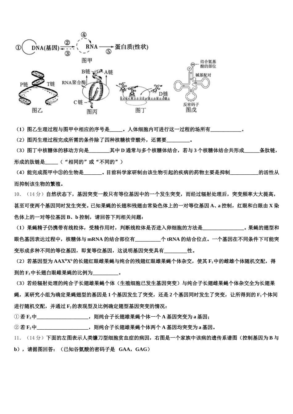 2025年广西省桂梧高中生物高一第二学期期末学业质量监测试题含解析_第3页