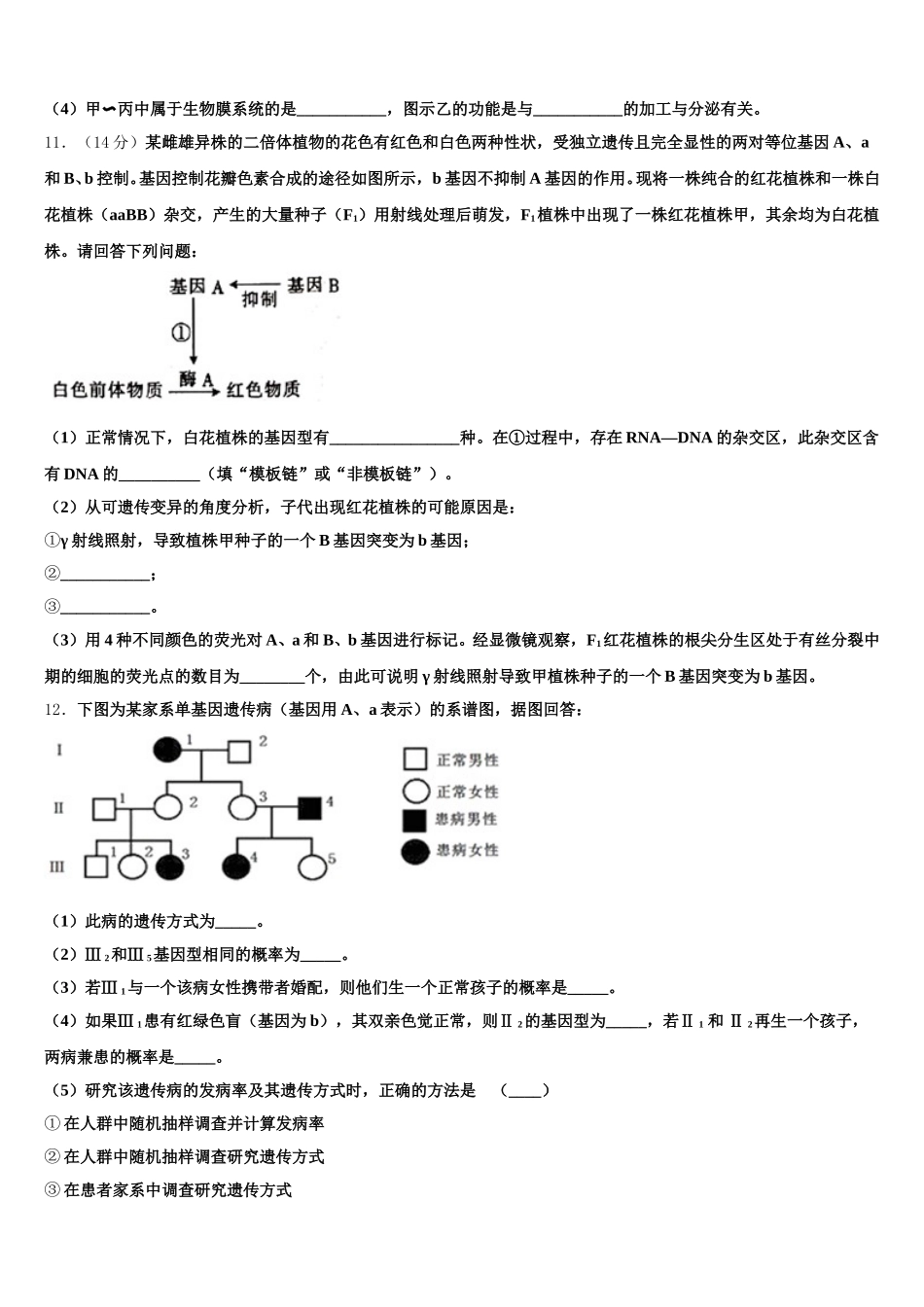 2024-2025学年广西钦州市钦州港经济技术开发区生物高一下期末检测模拟试题含解析_第3页
