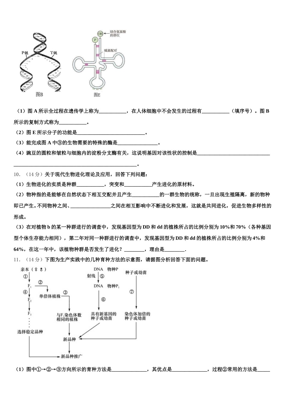 广西玉林高级中学2025年高一下生物期末达标检测试题含解析_第3页