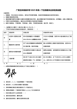 广西玉林高级中学2025年高一下生物期末达标检测试题含解析