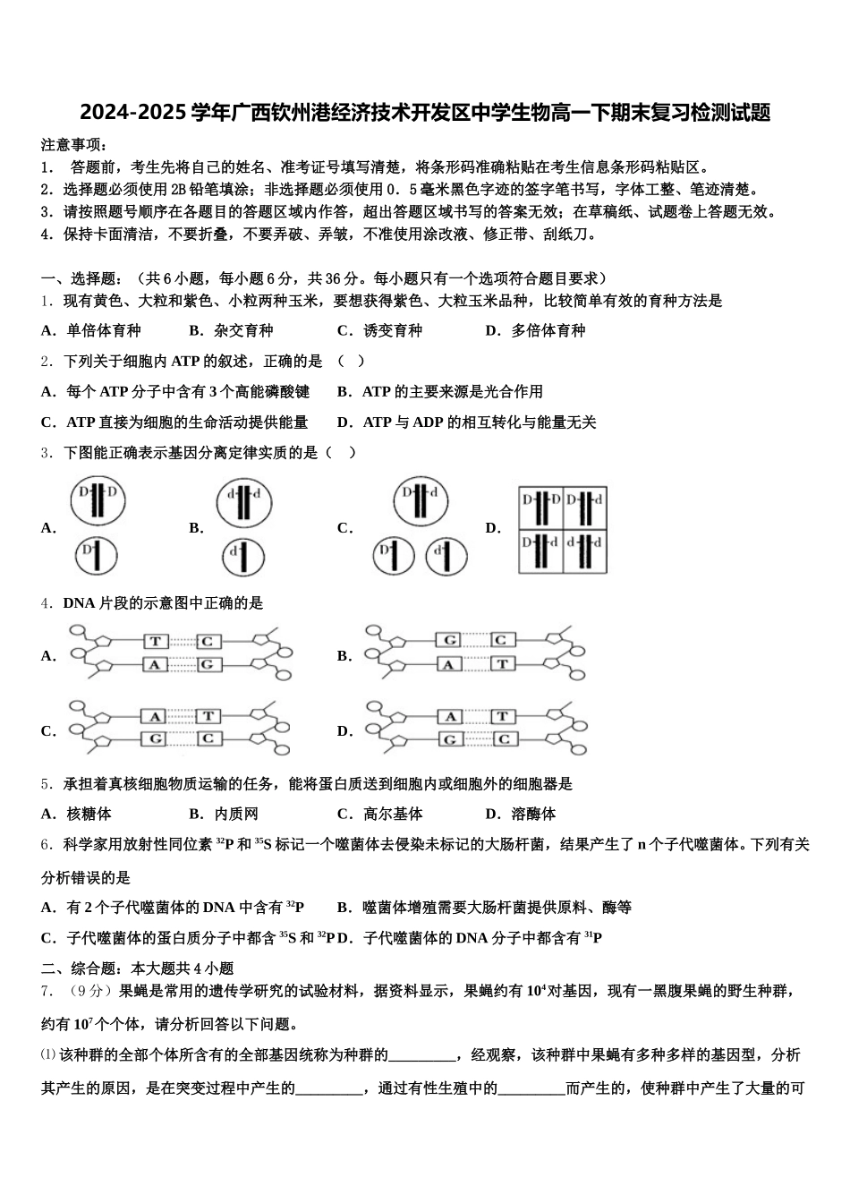 2024-2025学年广西钦州港经济技术开发区中学生物高一下期末复习检测试题含解析_第1页