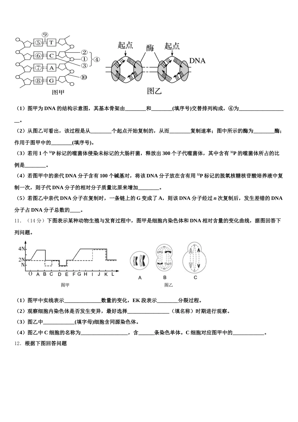 广西梧州市贺州市2025届高一生物第二学期期末统考试题含解析_第3页