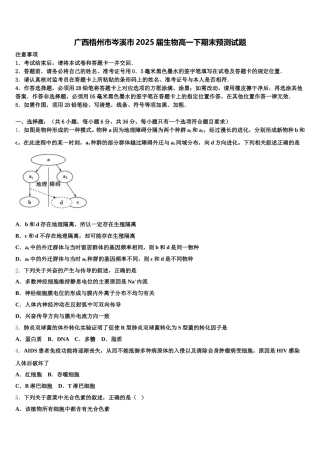 广西梧州市岑溪市2025届生物高一下期末预测试题含解析