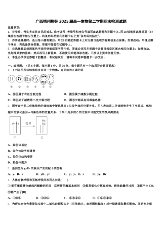 广西梧州柳州2025届高一生物第二学期期末检测试题含解析