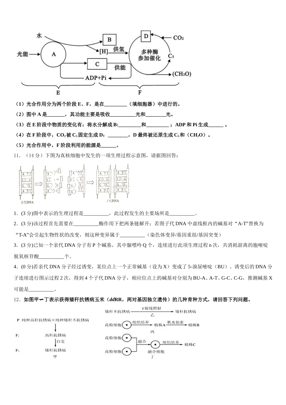 2025届广西桂林市第八中学高一生物第二学期期末综合测试模拟试题含解析_第3页